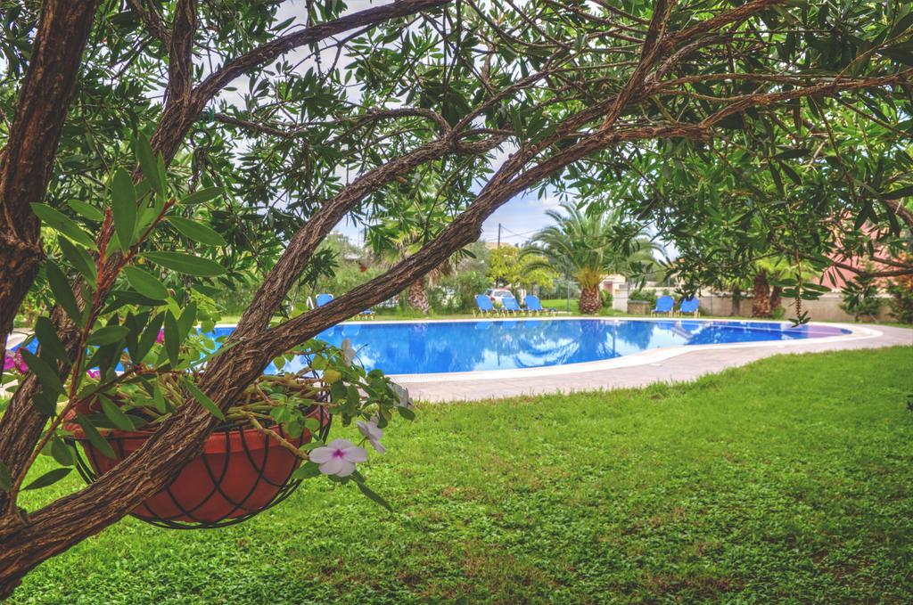 Jasmine * Sidari (Corfu)