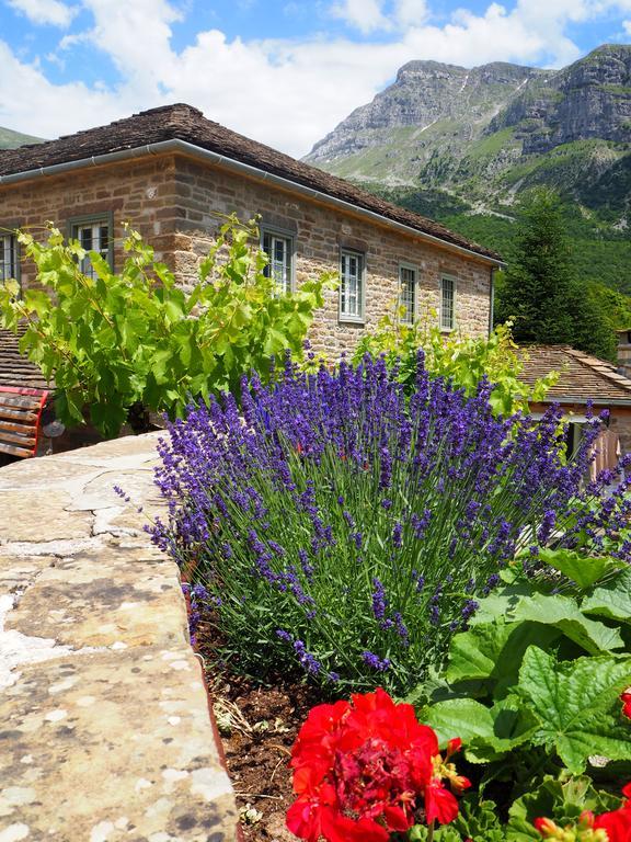 Papaevangelou Hotel Papigko