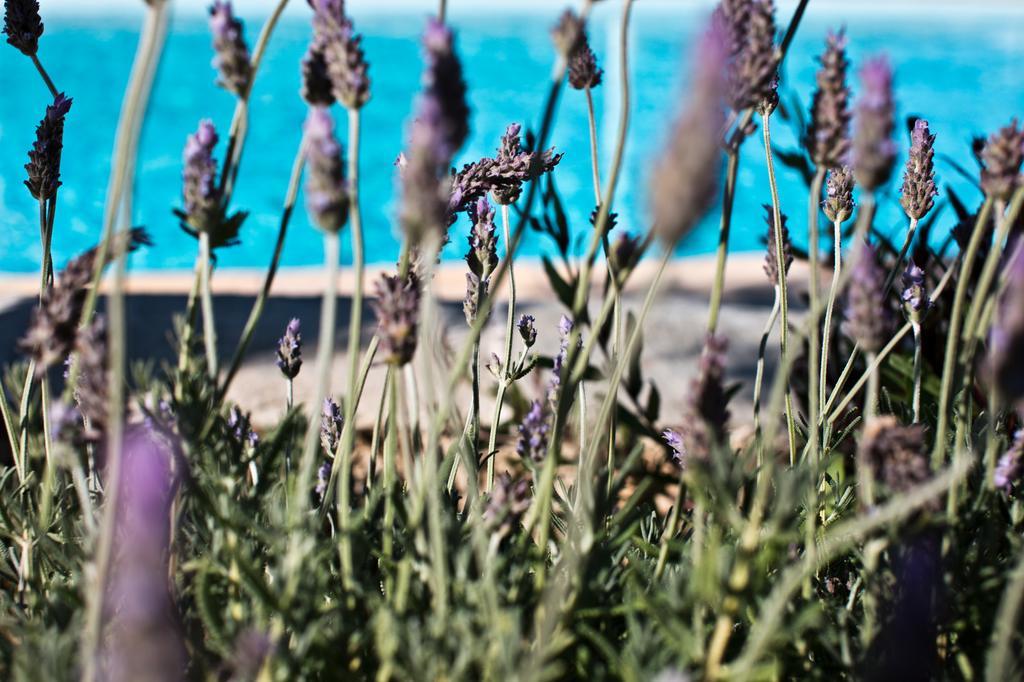Verina Terra Aparthotel Platis Gialos (Sifnos)