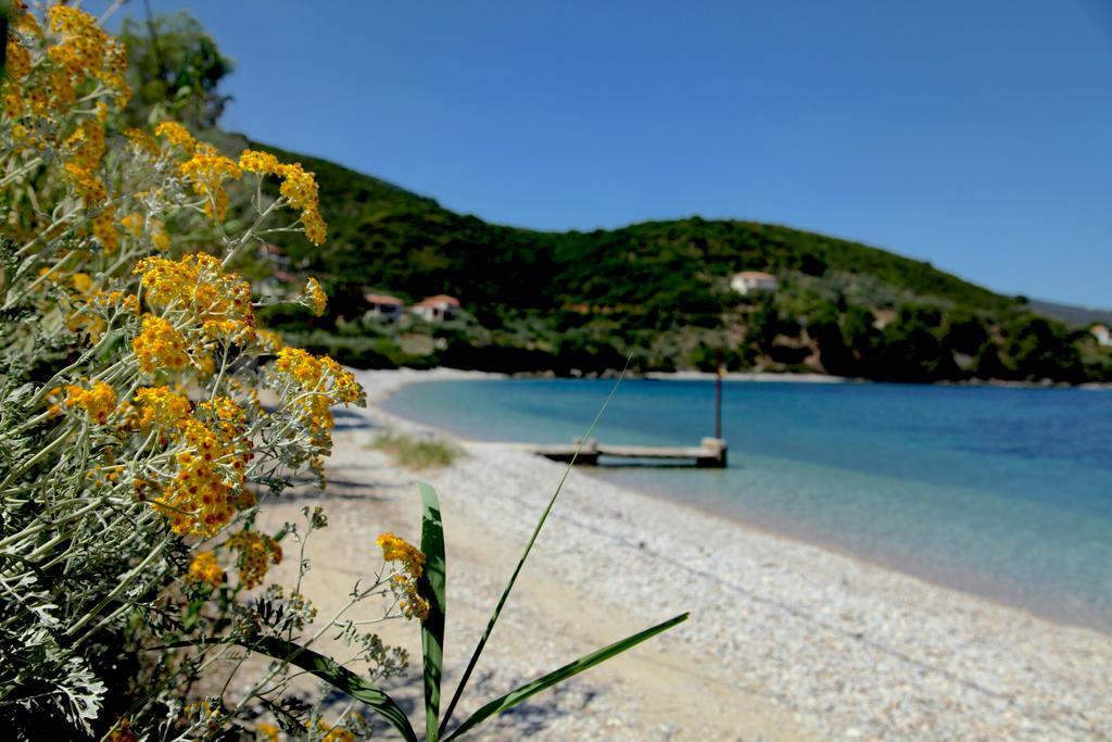 Casa Kalypso & Steni Vala Alonissos