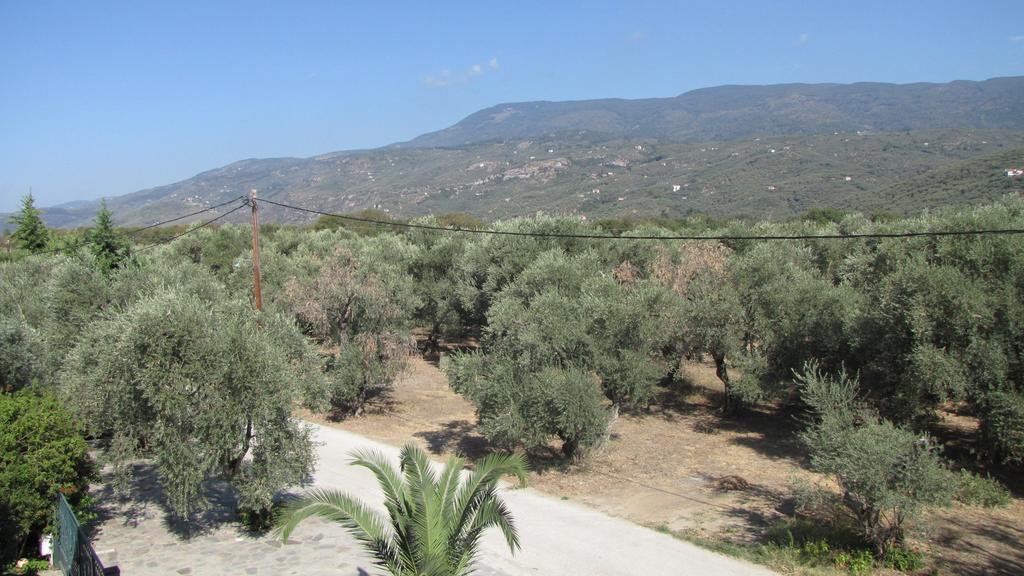 Palirria & 2* Kala Nera