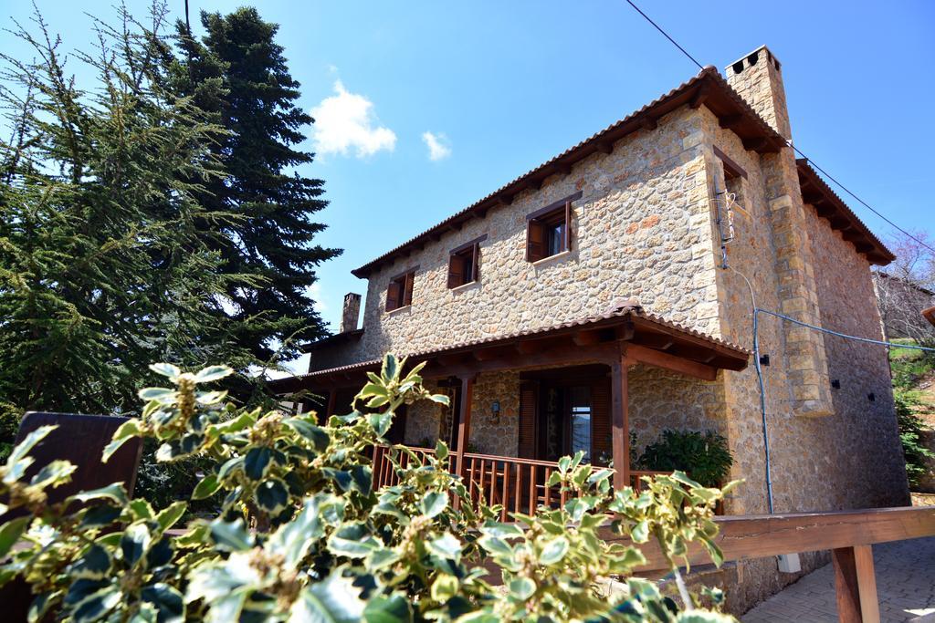 Filiantra Suites Guest house Kato Pitsa