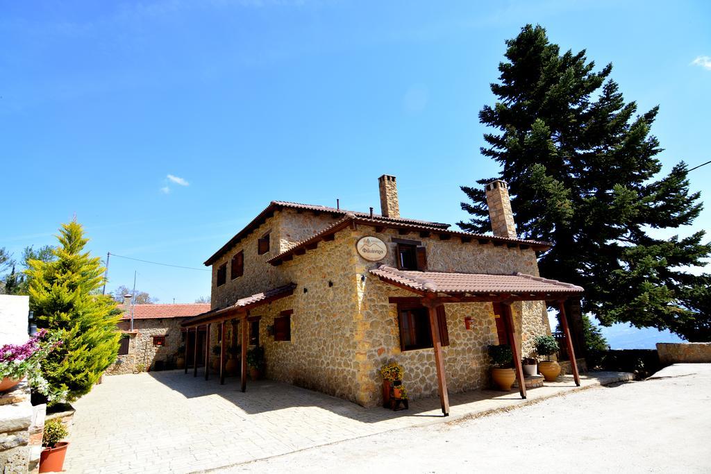 Filiantra Suites Guest house Kato Pitsa