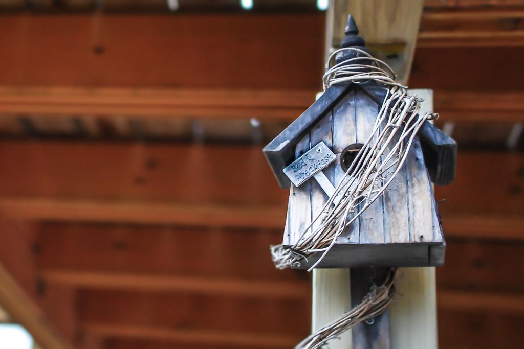 Guest house Colours' Chalet *