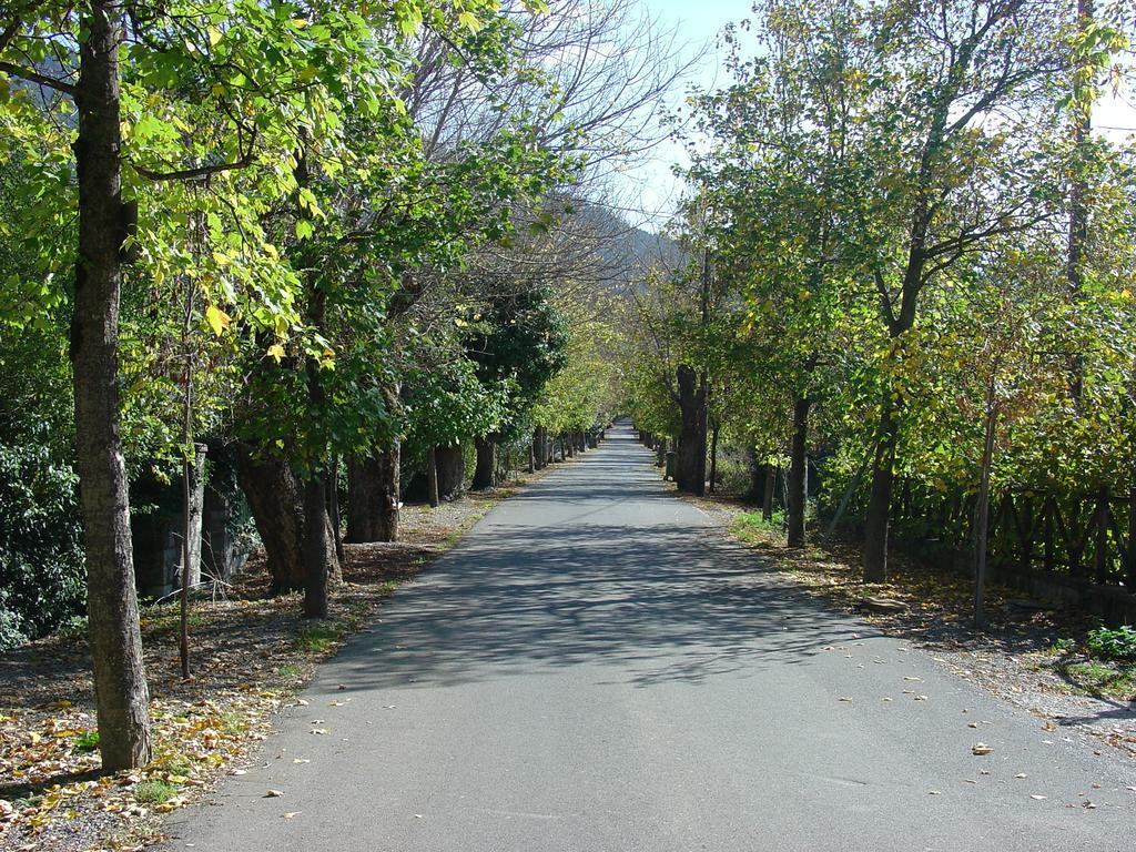 Archontiko Nikolopoulou