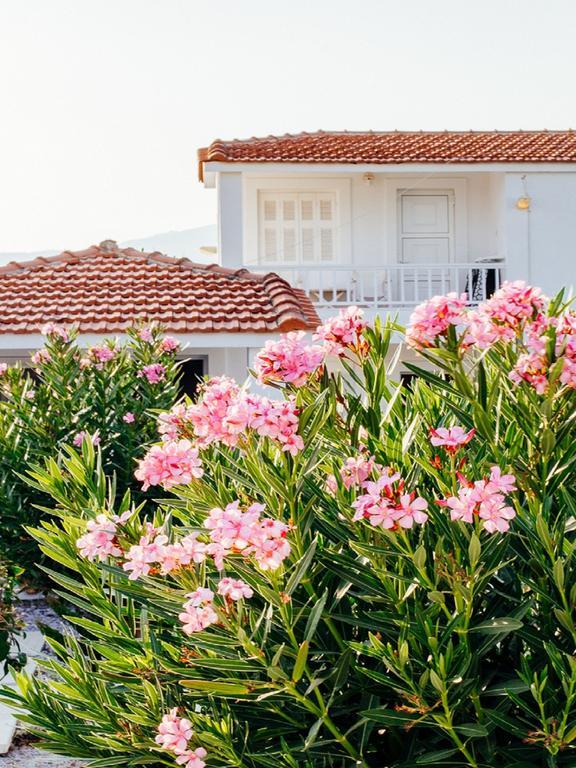Resort Fito Aqua Bleu Pythagoreio (Samos)