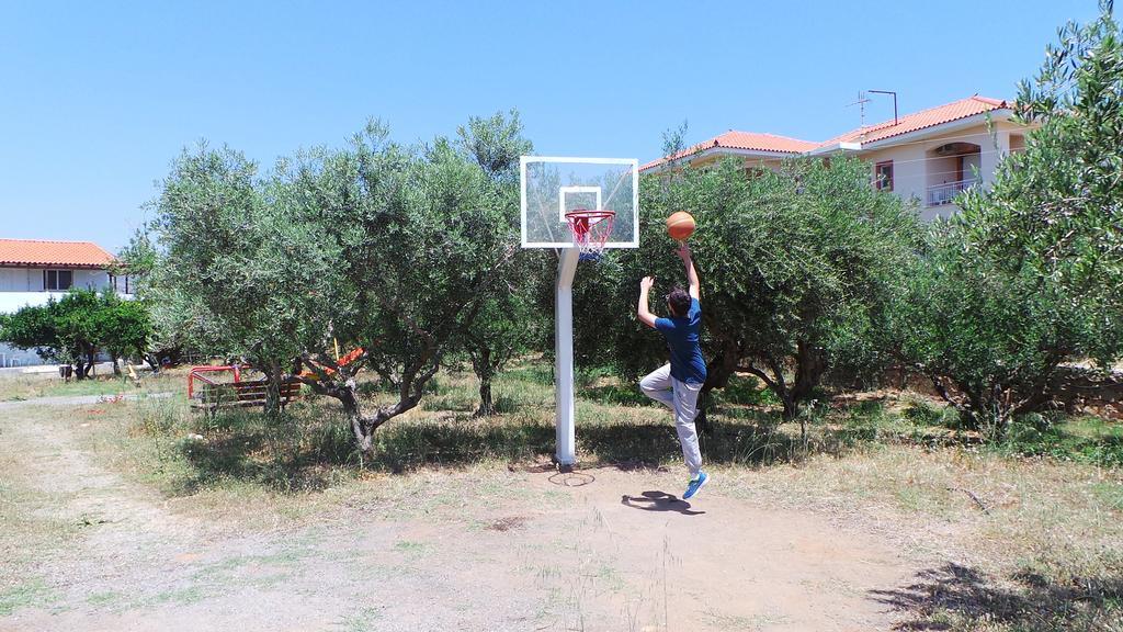 Zachos *