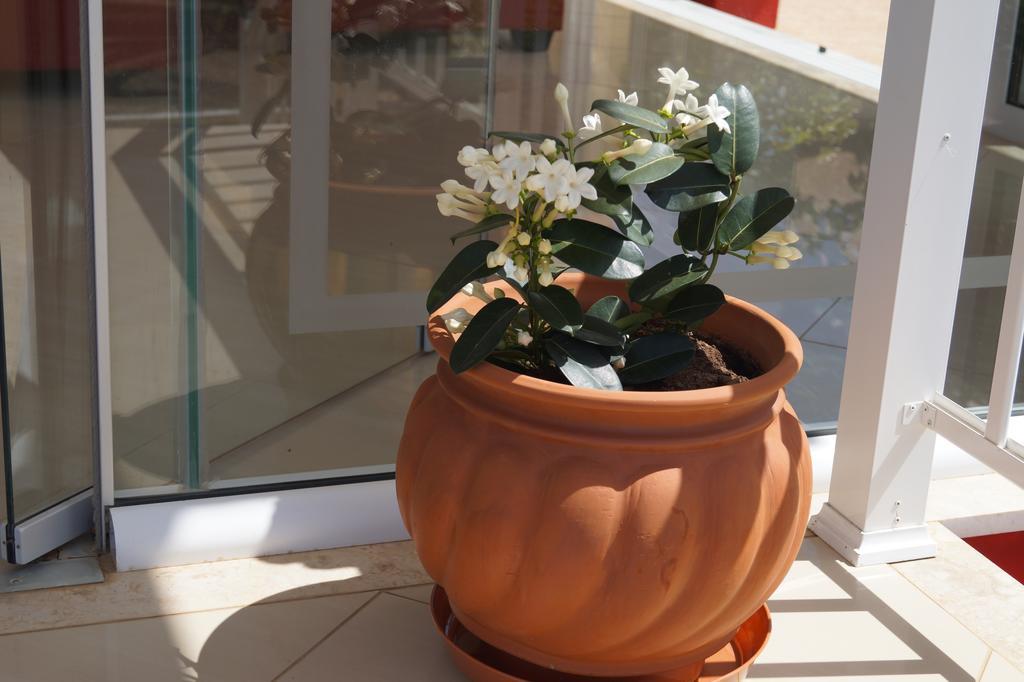 Hotel Brati - Arcoudi 2*