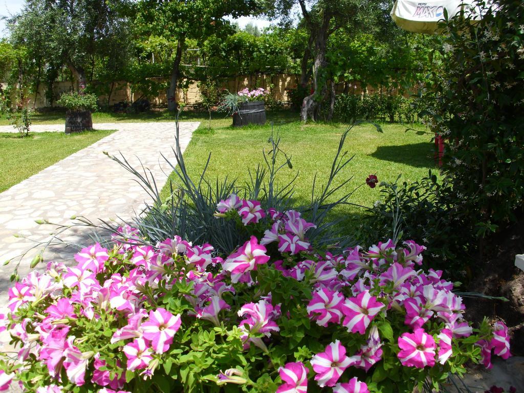Olga's Garden *