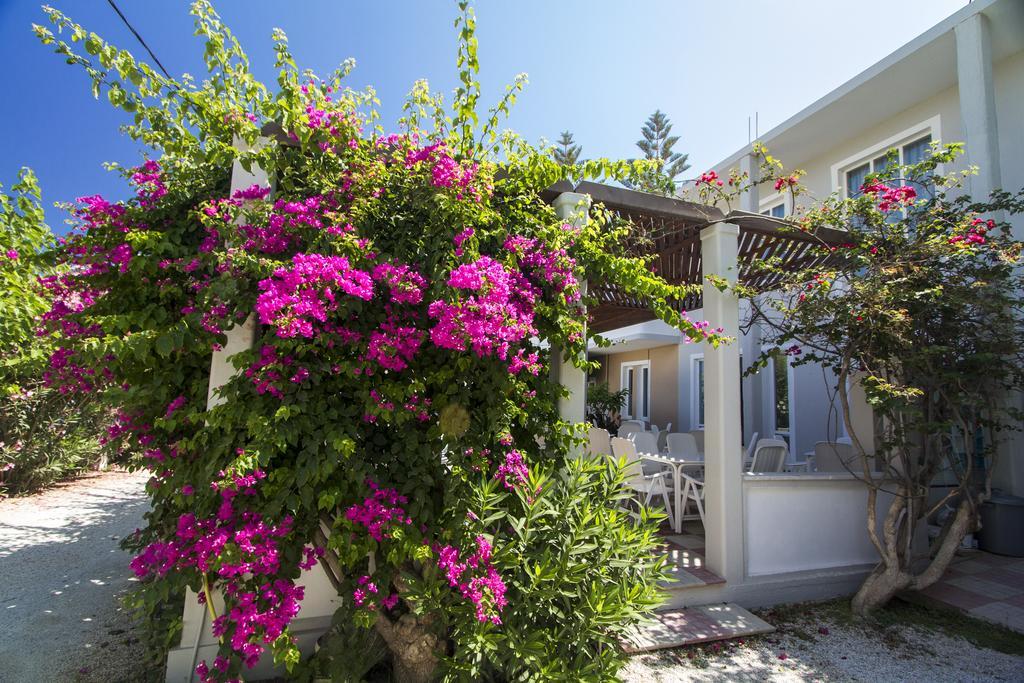 Hotel Peli