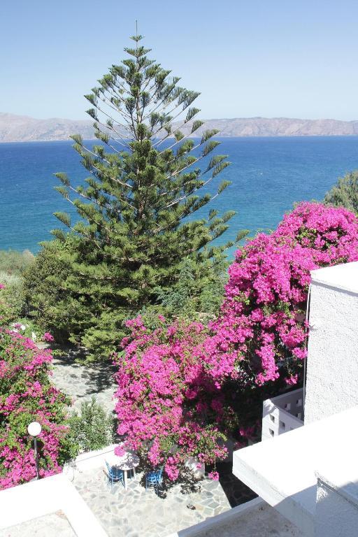 Delfini Hotel Kissamos