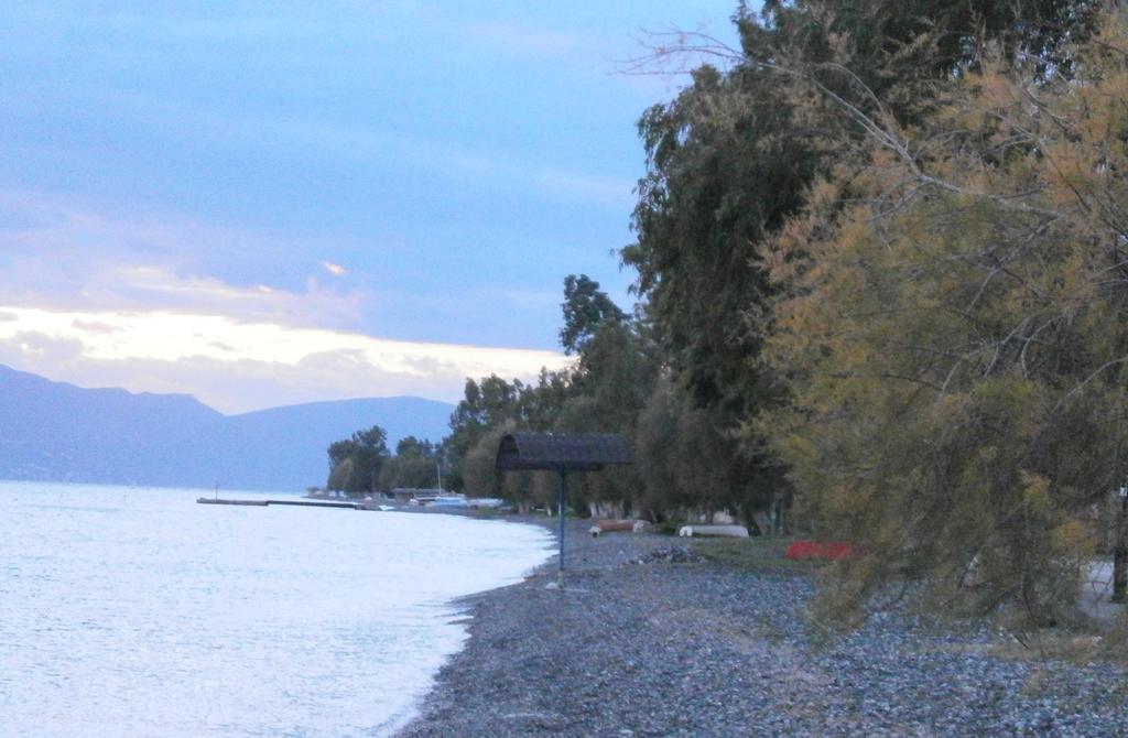 Artemis - Marina * Evia