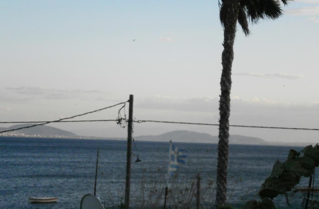 Artemis - Marina * Evia