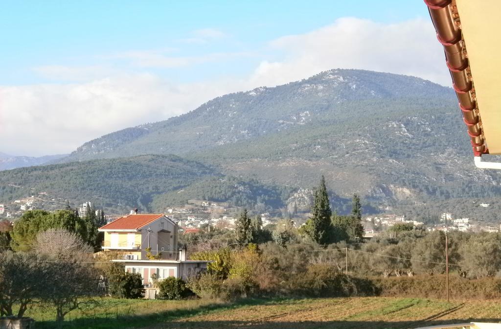 Holiday home Artemis - Marina *