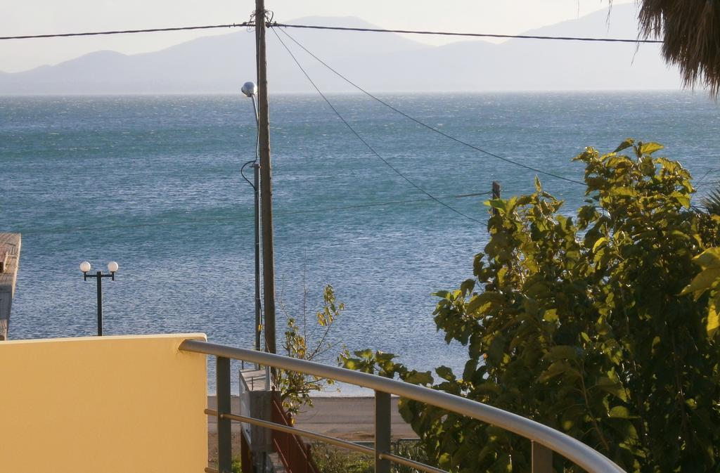Artemis - Marina * Evia