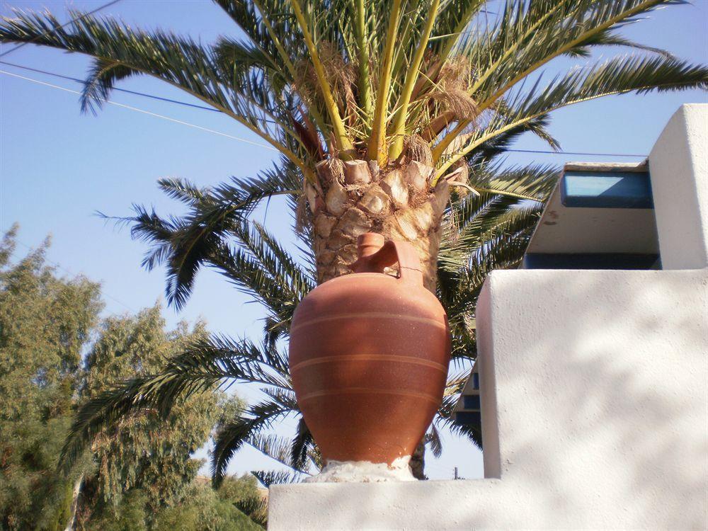 Oasis * Piso Livadi