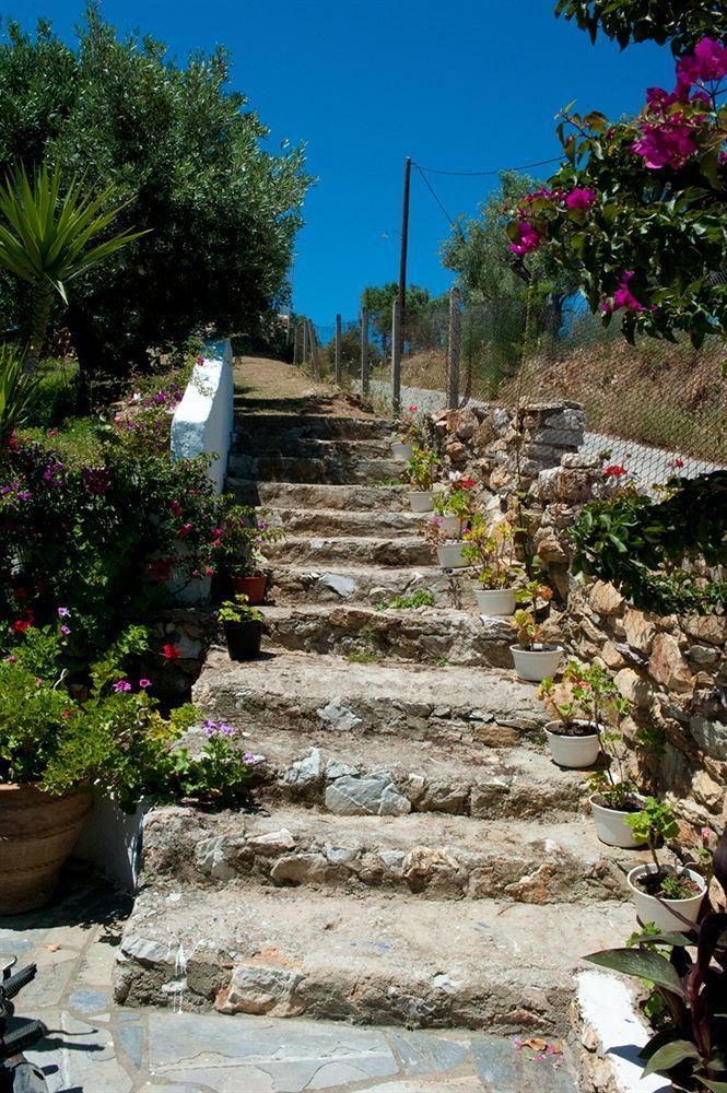Hotel Camelia Skiathos Town