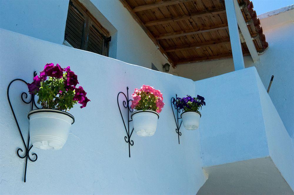 Hotel Camelia 3*
