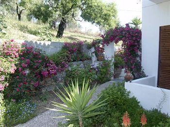 Camelia Hotel