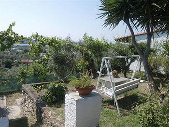 Hotel Camelia