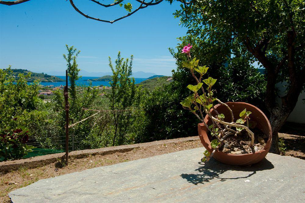 Camelia Skiathos Town