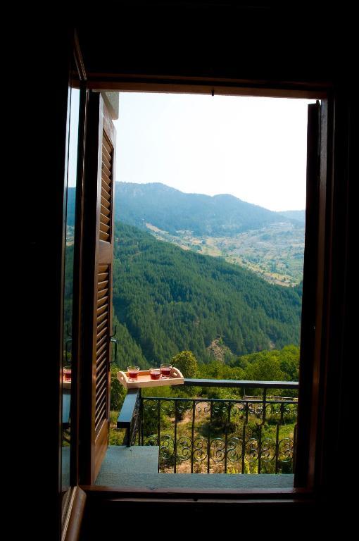 Oresivio Metsovo