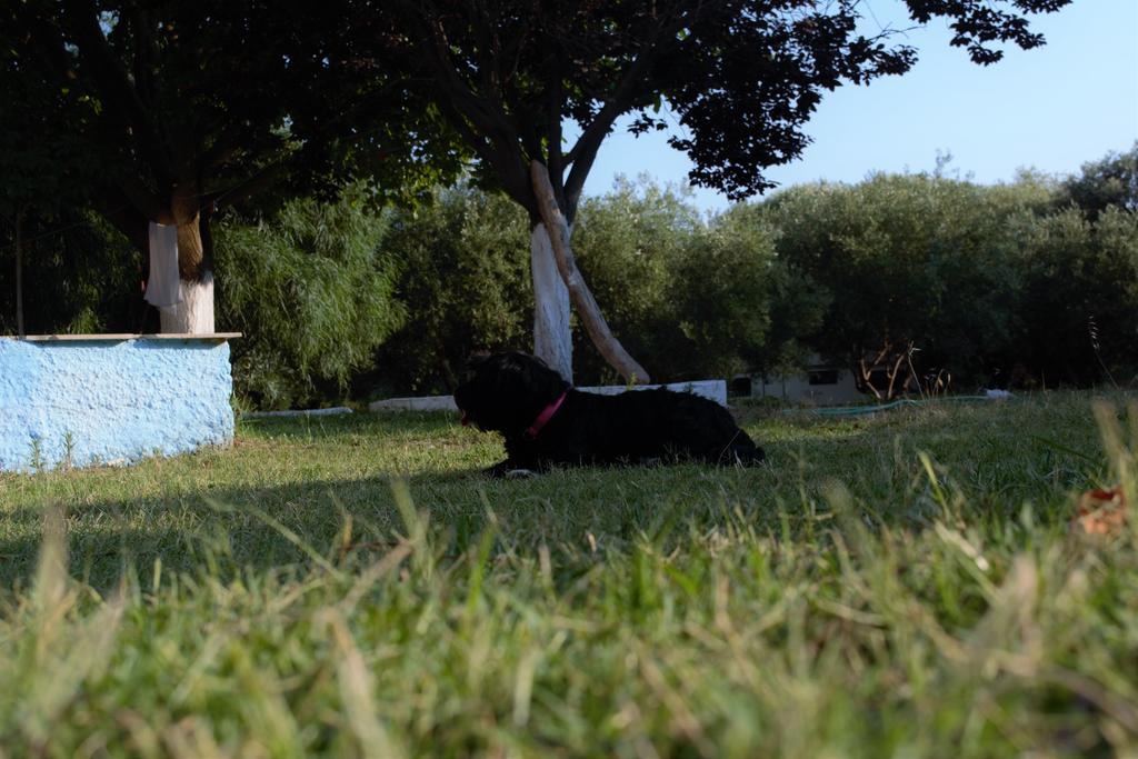 Filoxenia Guest house Riza (Epirus)