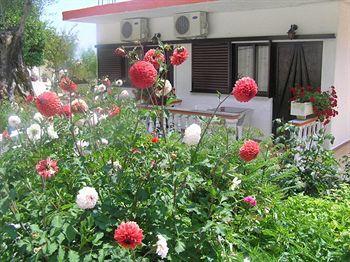 Tomas Apartment Parga