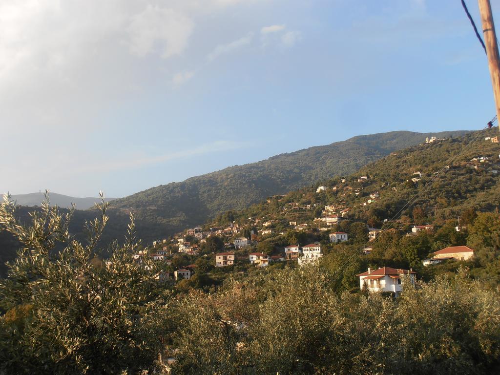 Mansion Terpou Guest house Agios Vlasios (Thessalia)