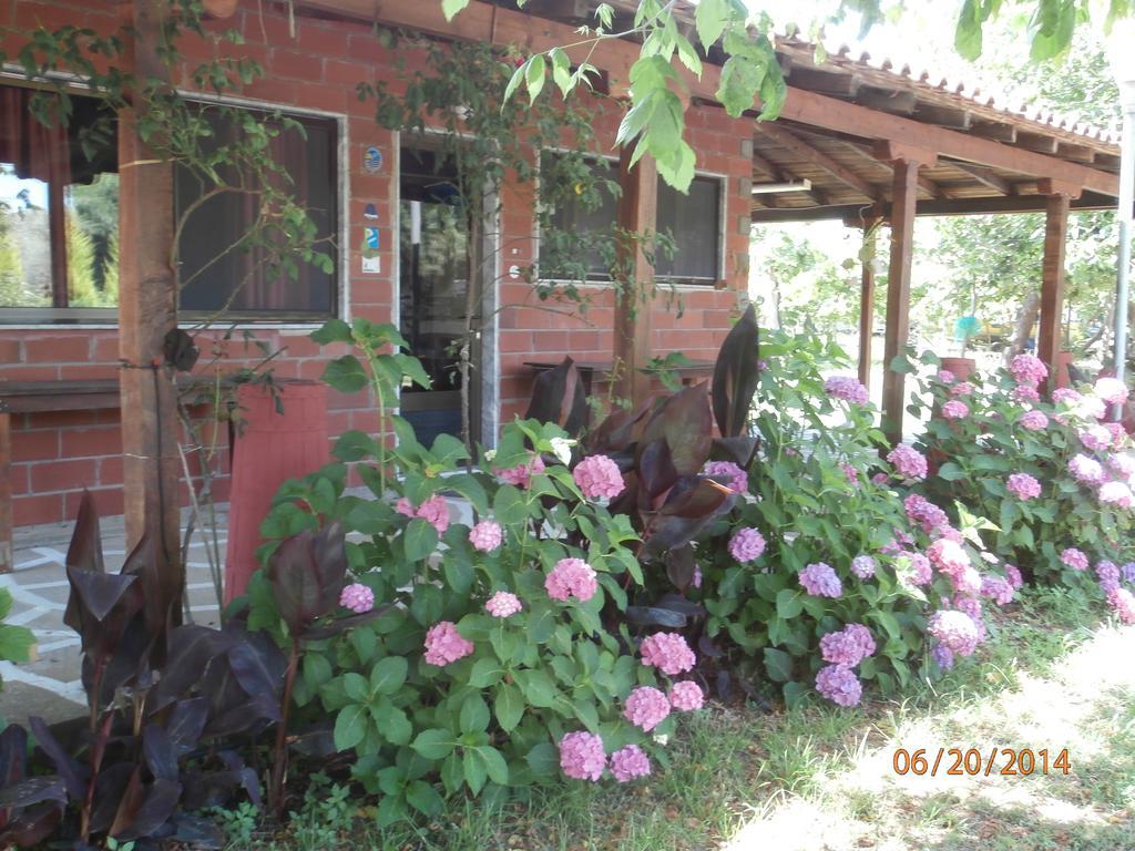 Apartment Perseus Skala Rachoni (Thasos)