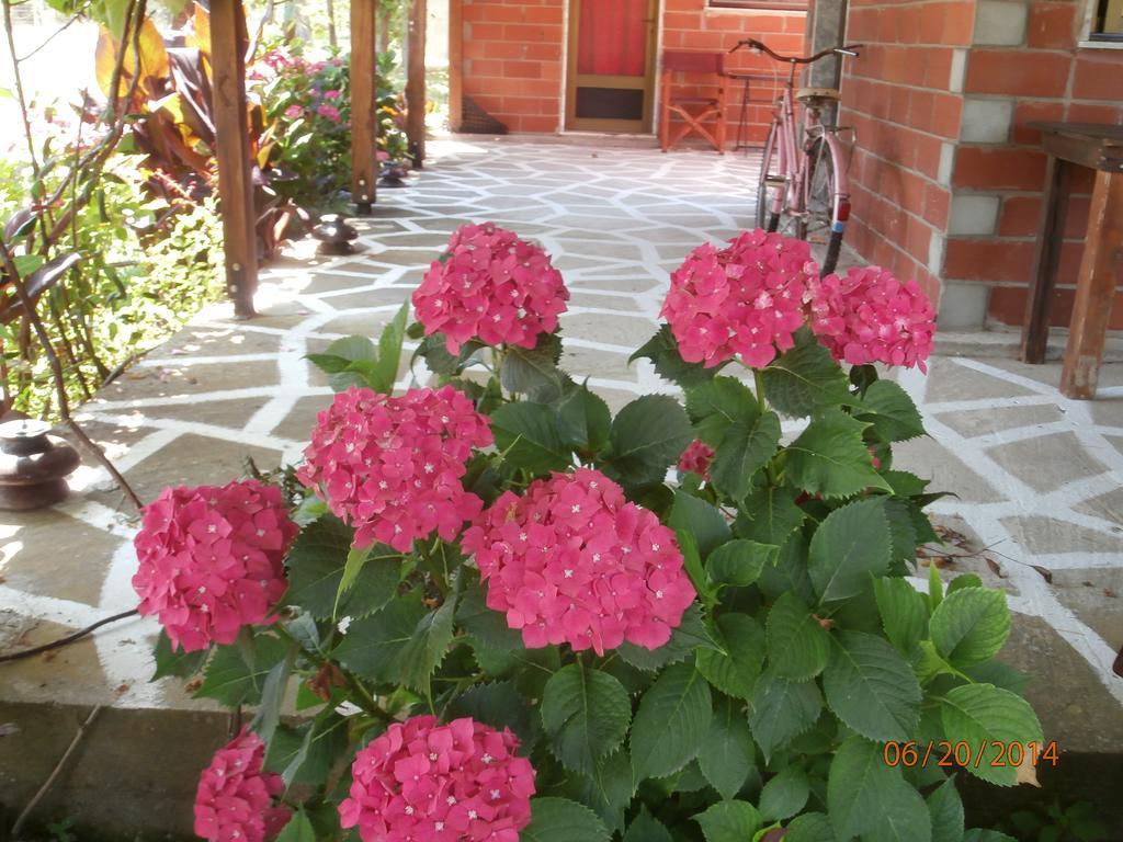 Perseus Apartment Skala Rachoni (Thasos)