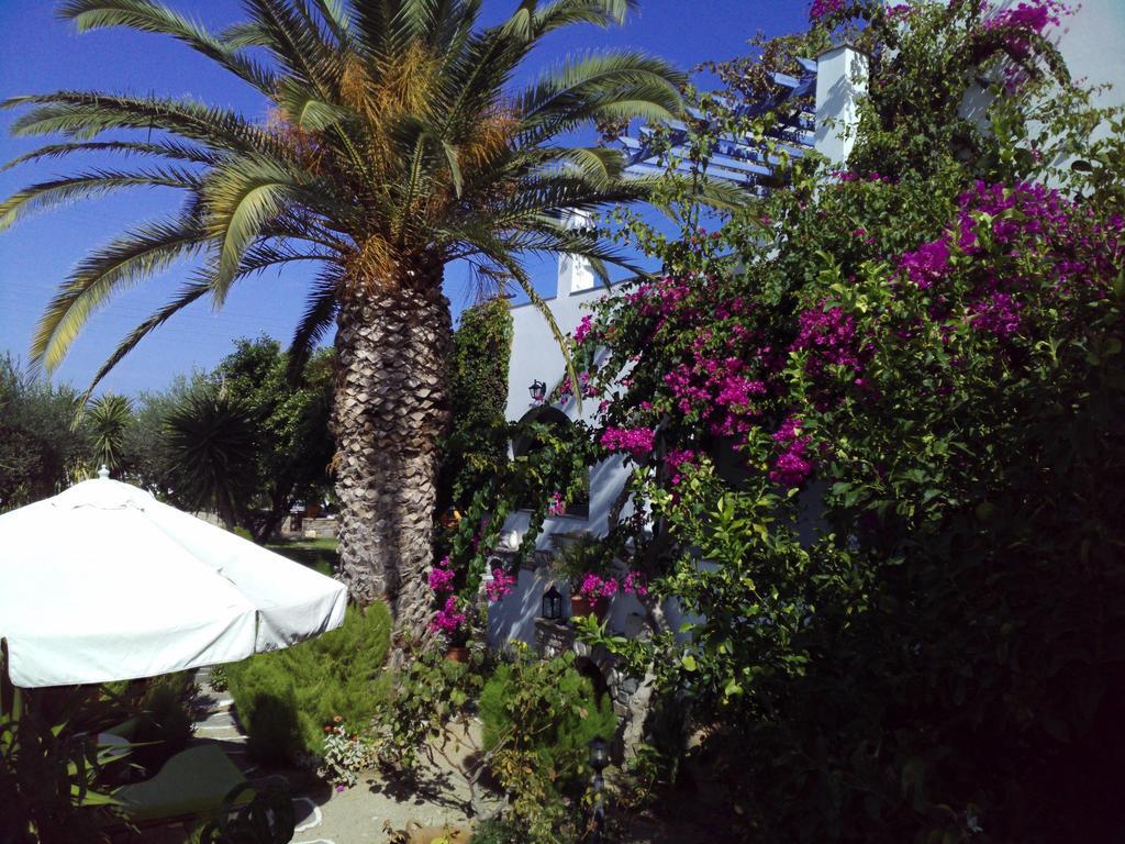 Pension Sofia Guest house