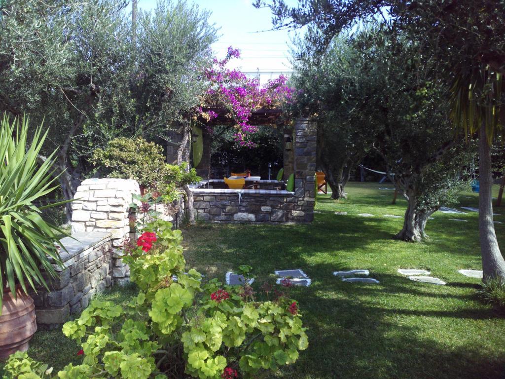 Pension Sofia Guest house