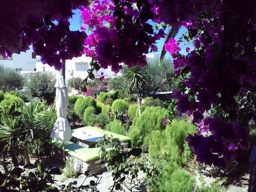 Pension Sofia Guest house