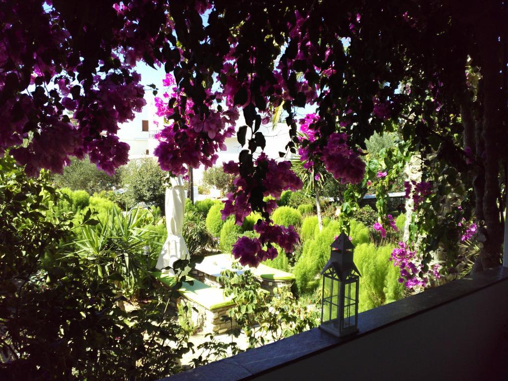 Pension Sofia 3* Parikia (Paros)
