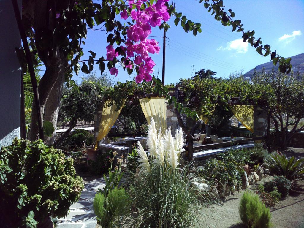 Pension Sofia Guest house Parikia (Paros)