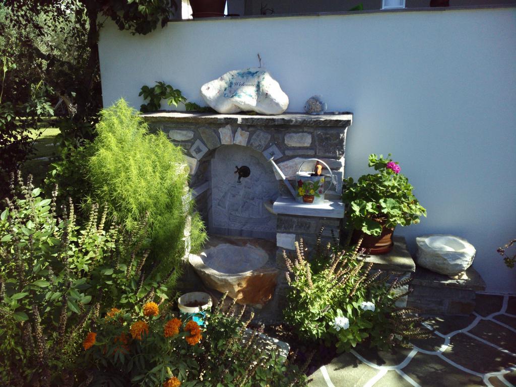Pension Sofia Guest house 3*