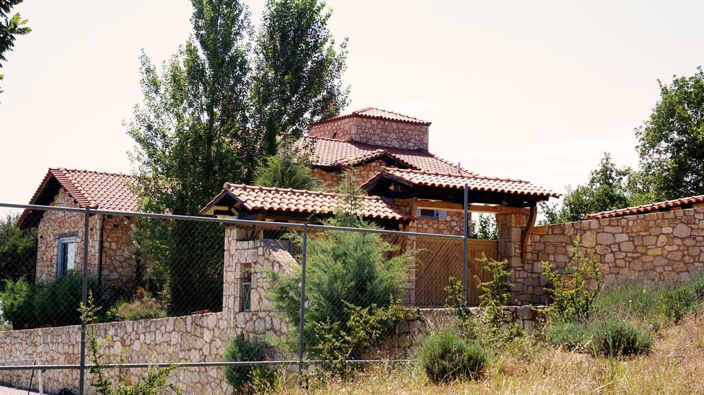 Des Hiboux A Egee Villa *