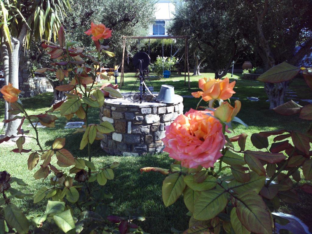 Pension Sofia 3* Parikia (Paros)