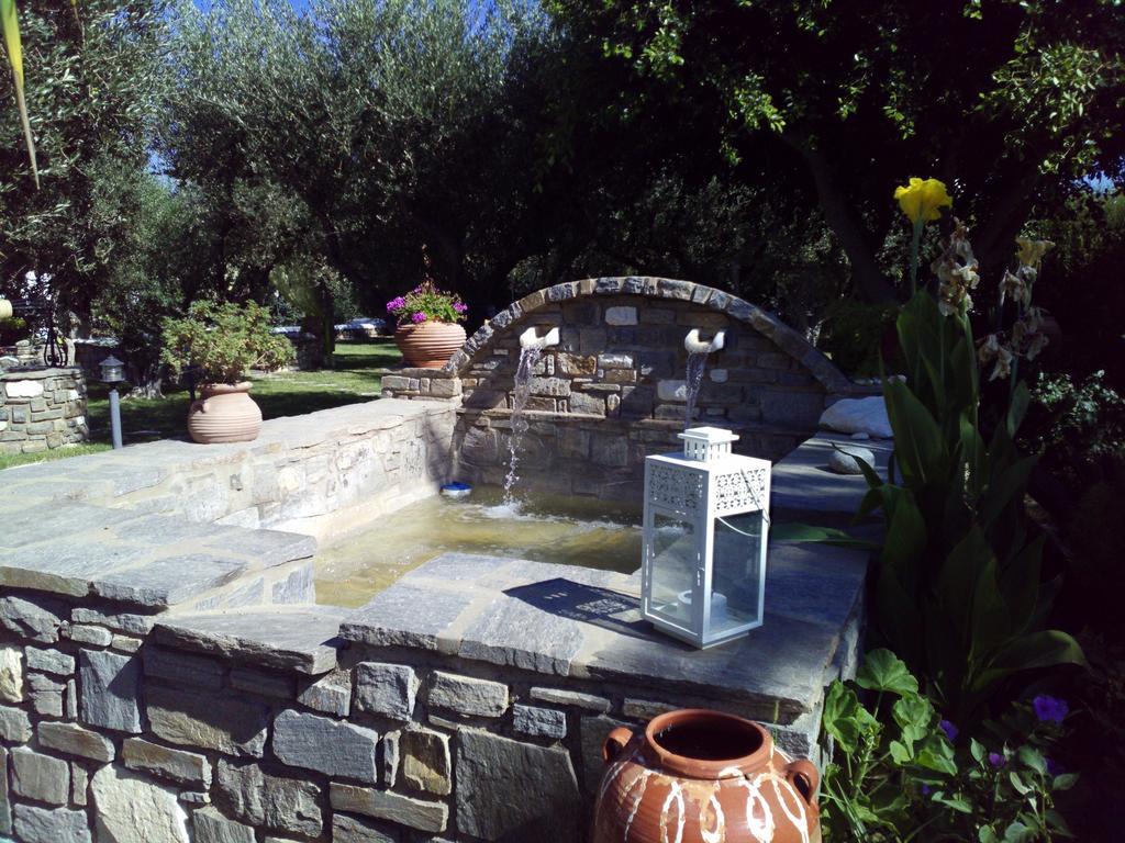 Pension Sofia Guest house Parikia (Paros)