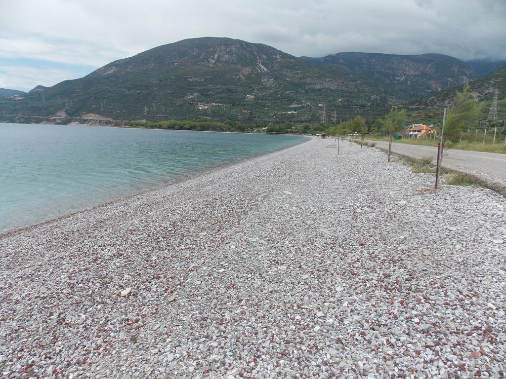 Theasis Aparthotel Paralia Sergoulas