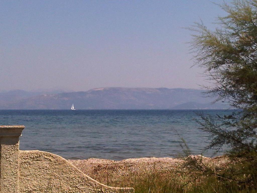 Virginia's Beachfront Kavos