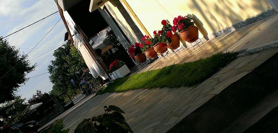 Skotina Rooms *