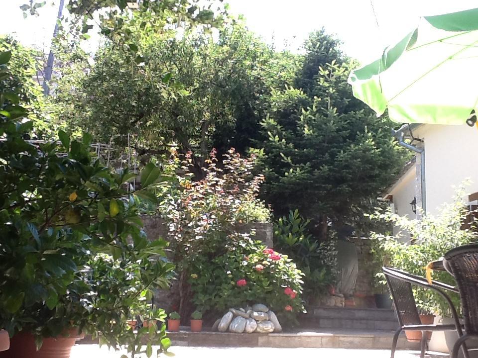 Guest house Kleopatra's