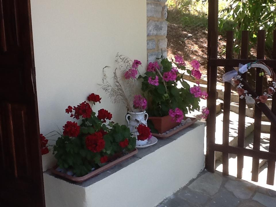 Guest house Kleopatra's *