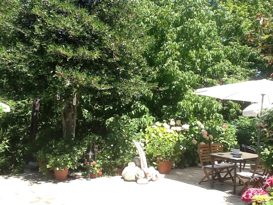 Kleopatra's Guest house *