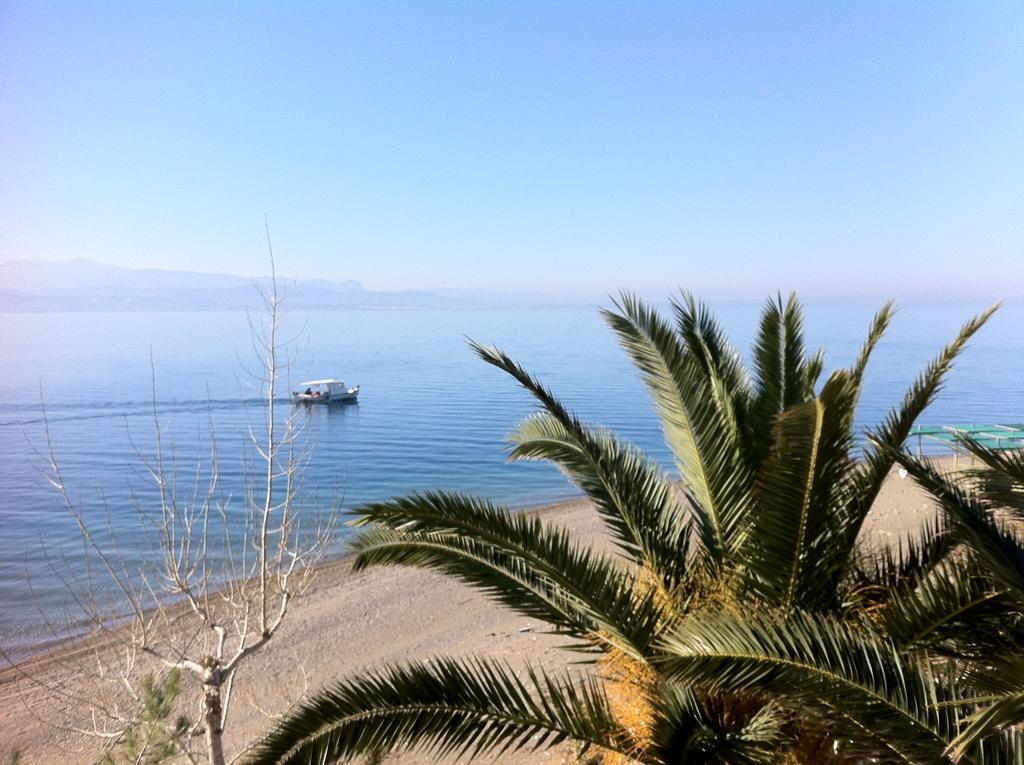 Posidonia Amarynthos