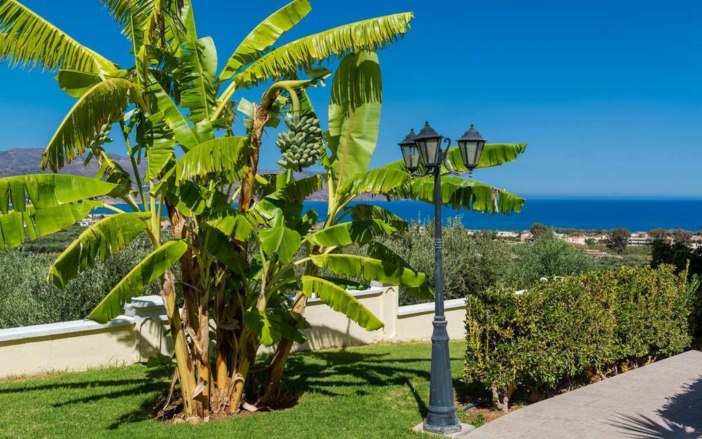Antilia Tavronitis (Crete)