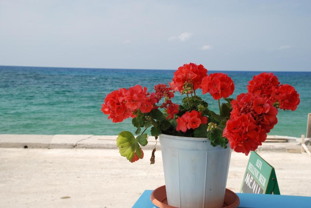 Socrates Apartmens & Restaurant *