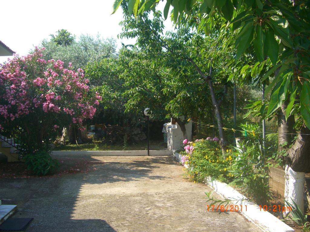 Apartment Alba Studio Thassos Koinira